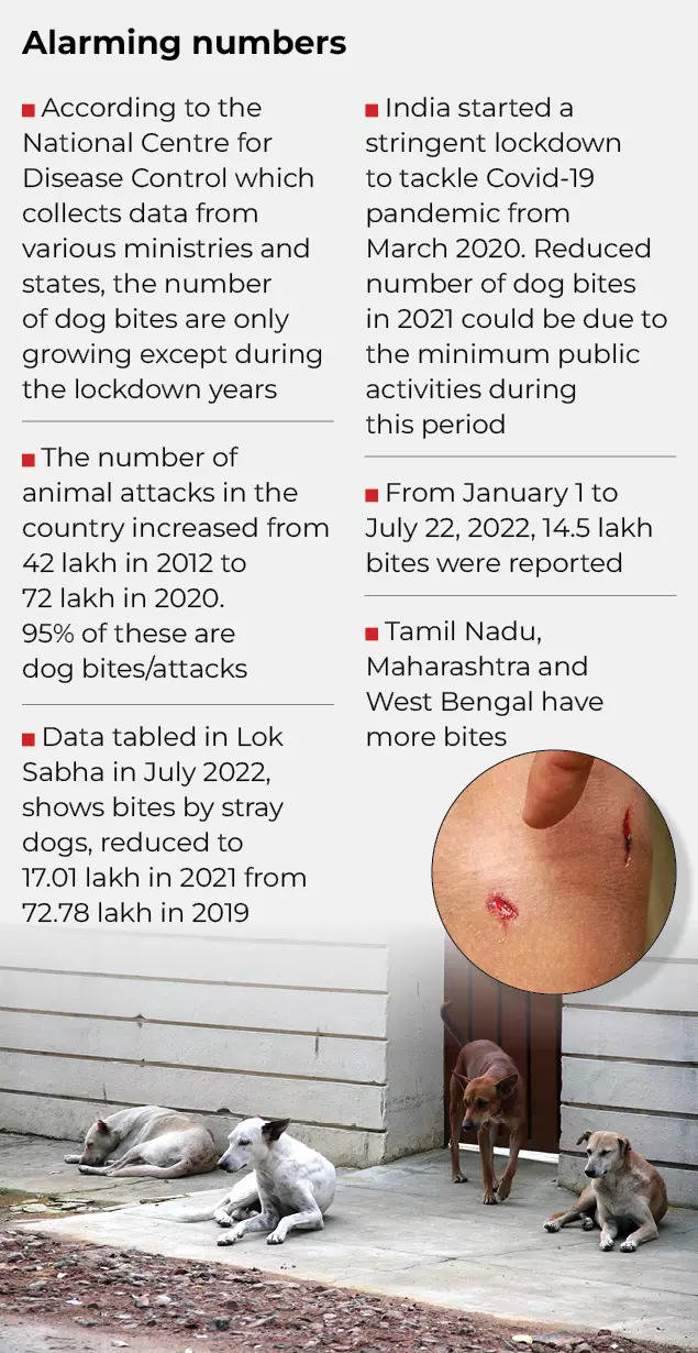 Why rising dog bite cases should worry India | India News - Times of India