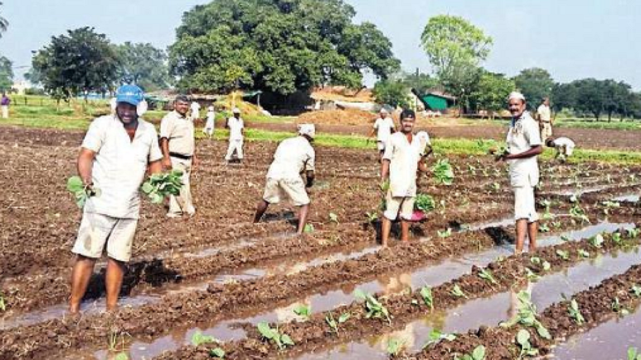 2,000 inmates to receive training in vocational skills in Maharashtra’s open jails | Pune News – Times of India