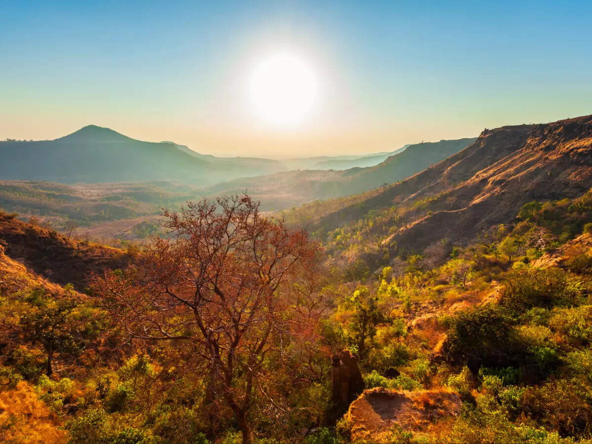 Hill stations in Madhya Pradesh for a perfect quick break