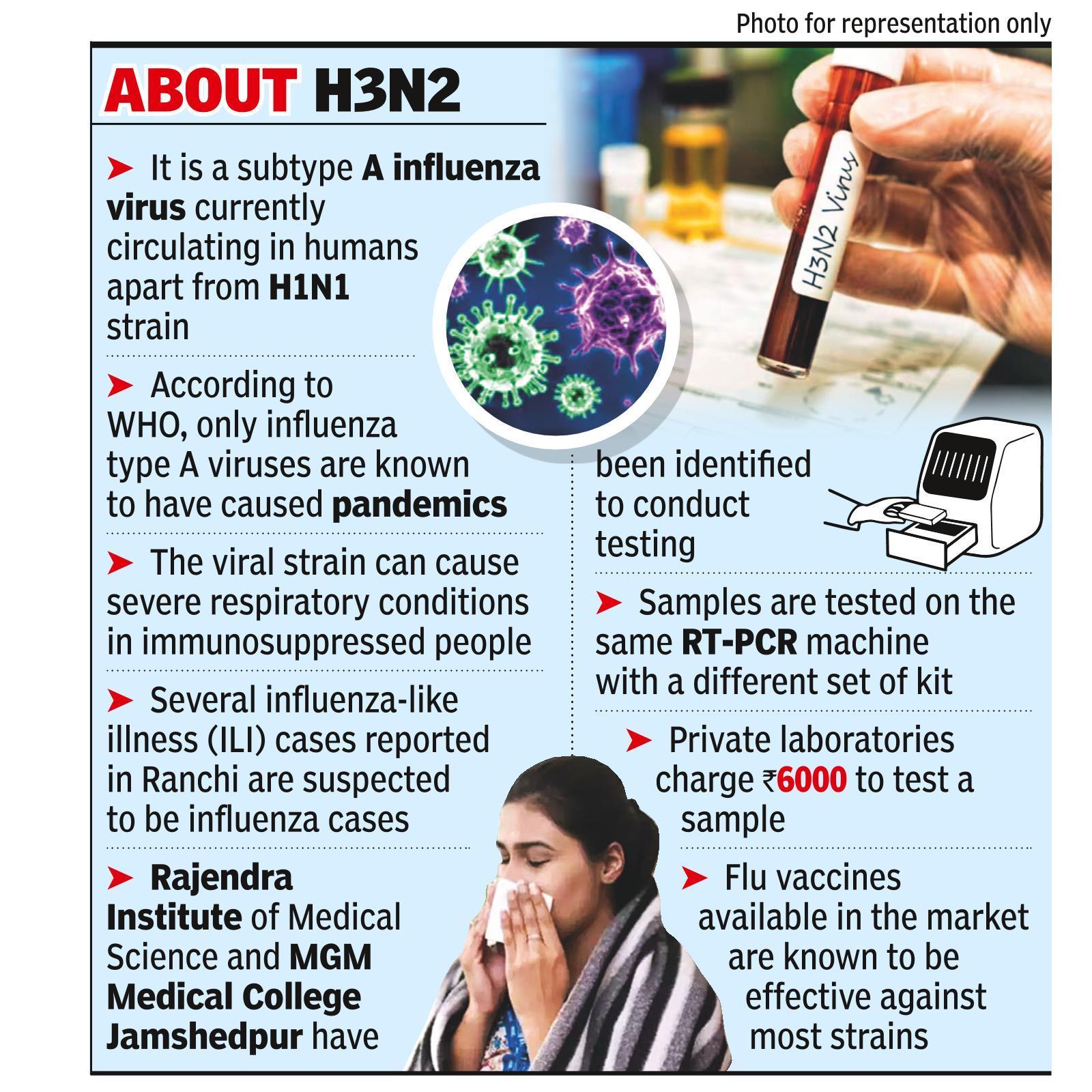 Flu cases increase in Jharkhand, experts suspect H3N2 virus | Ranchi News -  Times of India