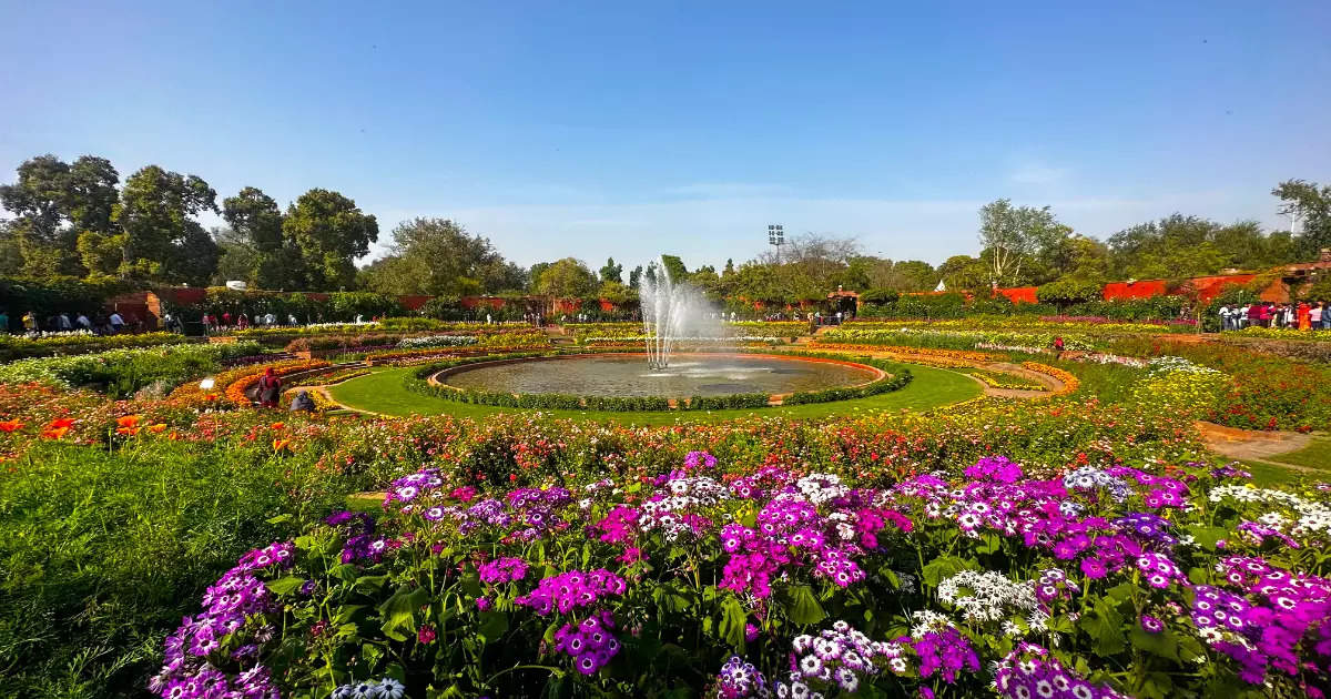 Picture-perfect Delhi in spring | Times of India