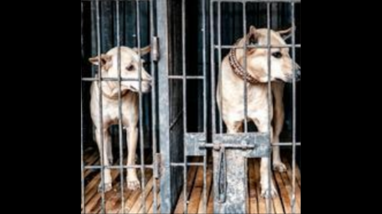 6th block Golden Nagar, Chennai Map, Property Rates, Projects