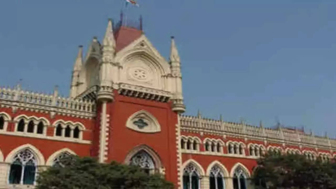 Calcutta high court refuses to interfere in Bengal panchayat polls process