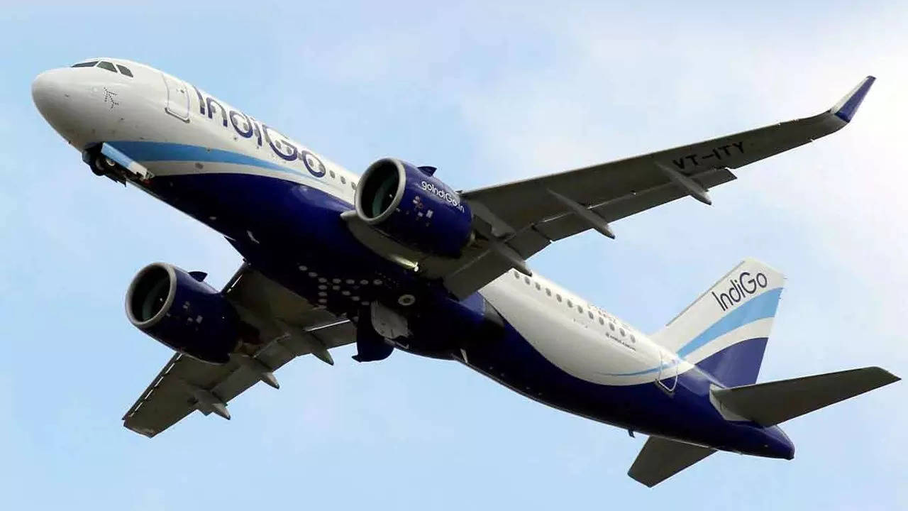 Swedish flyer molests IndiGo cabin crew, held in Mumbai