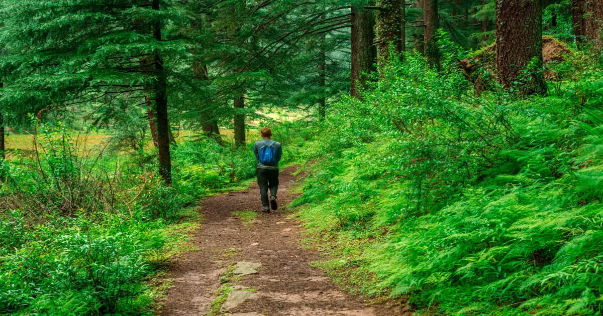 India’s most popular forest treks | Times of India