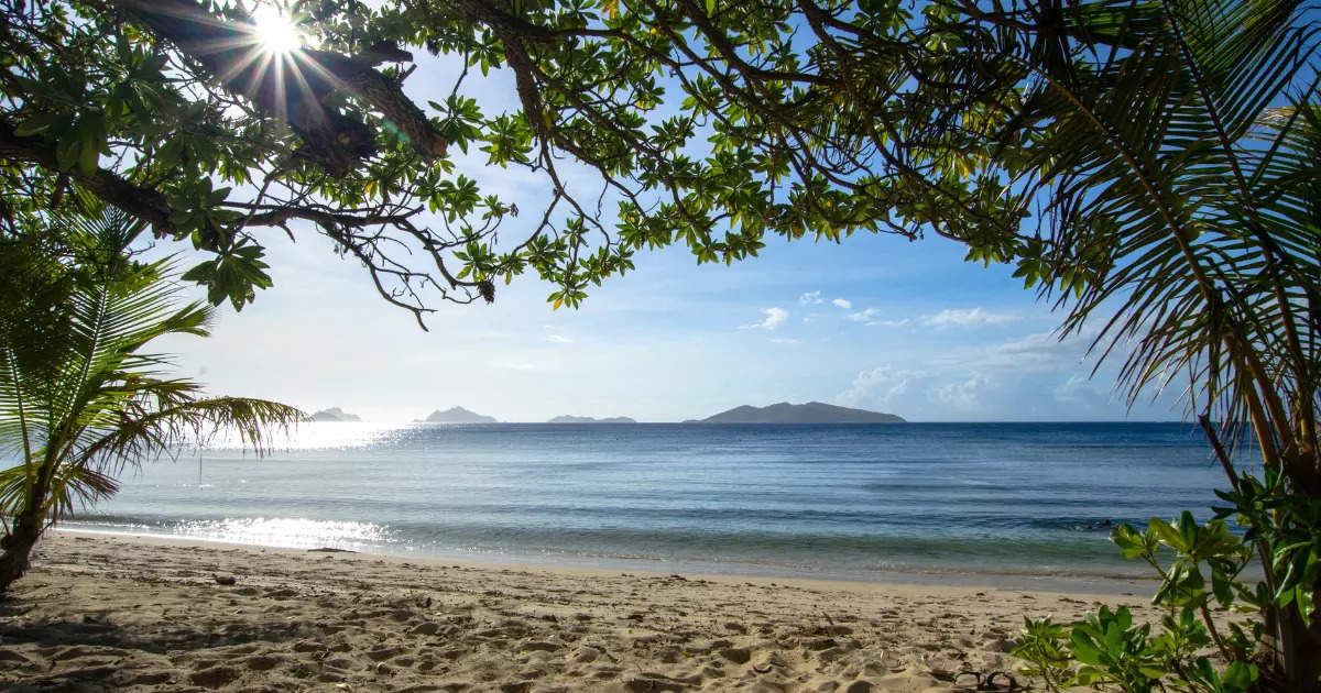 Fiji islands that look like paradise | Times of India