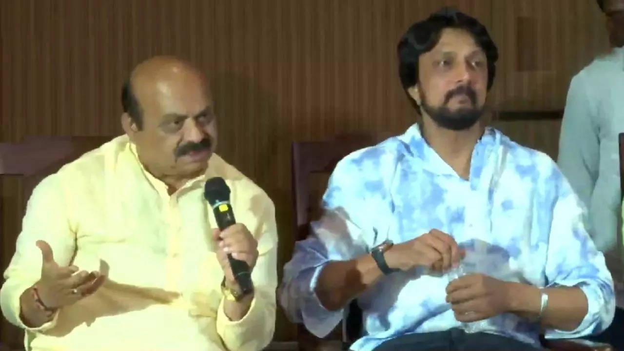 Kichcha Sudeep: I will only campaign for BJP, not contest ...