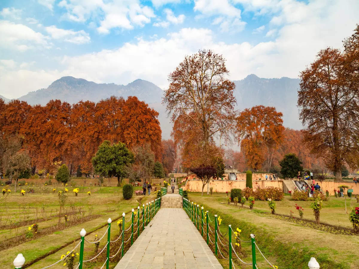 Mughal Gardens in Kashmir are on UNESCO's Tentative List, and here's why |  Times of India Travel