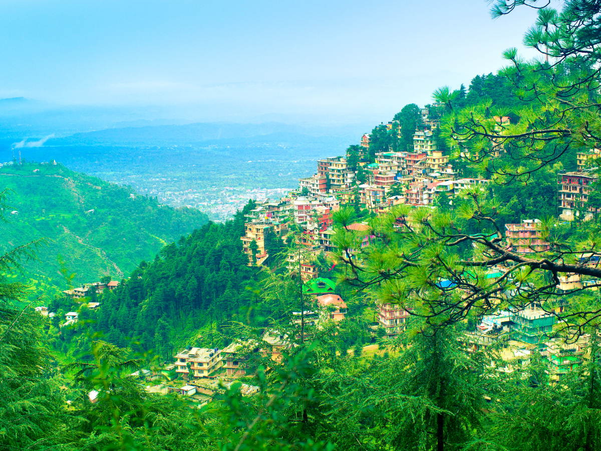 Things to do around Dharamshala for an exciting trip