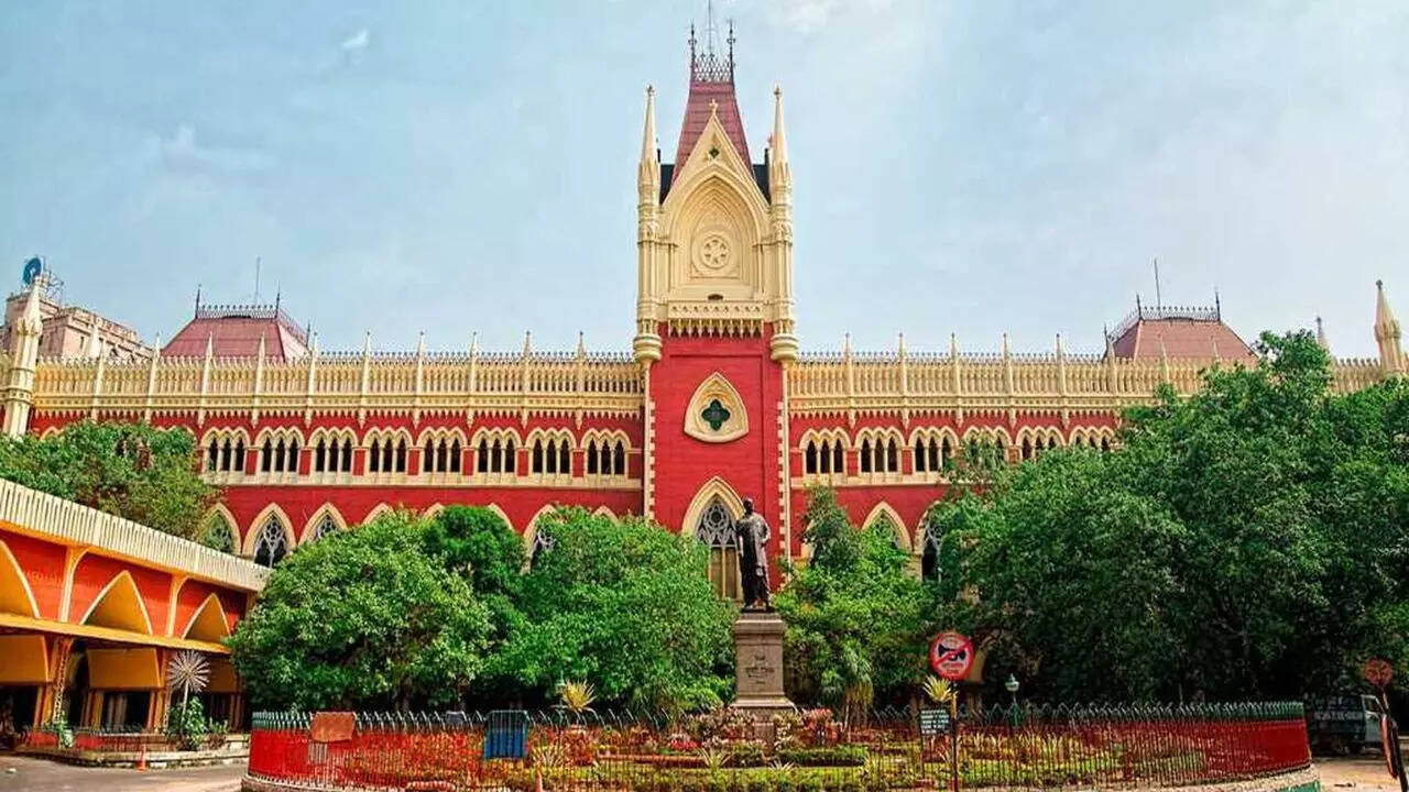 Worried about rape survivor's health, Calcutta HC says no to MTP