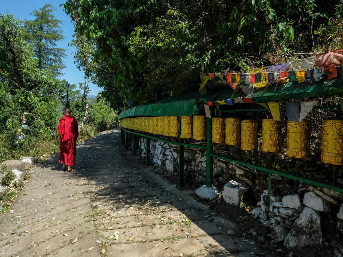 Experience the Tibetan culture at Tsuglagkhang Complex in McLeodganj