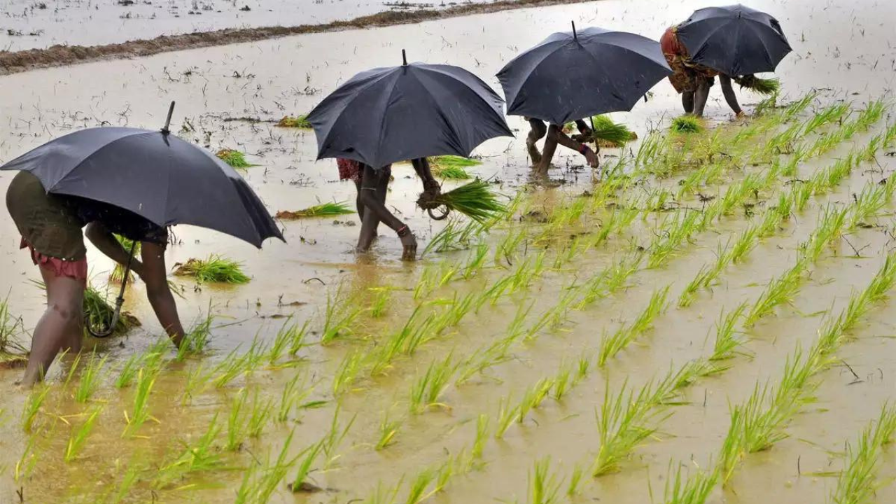 Normal monsoon rainfall could spur economic growth, help bring down food  price inflation | India News - Times of India