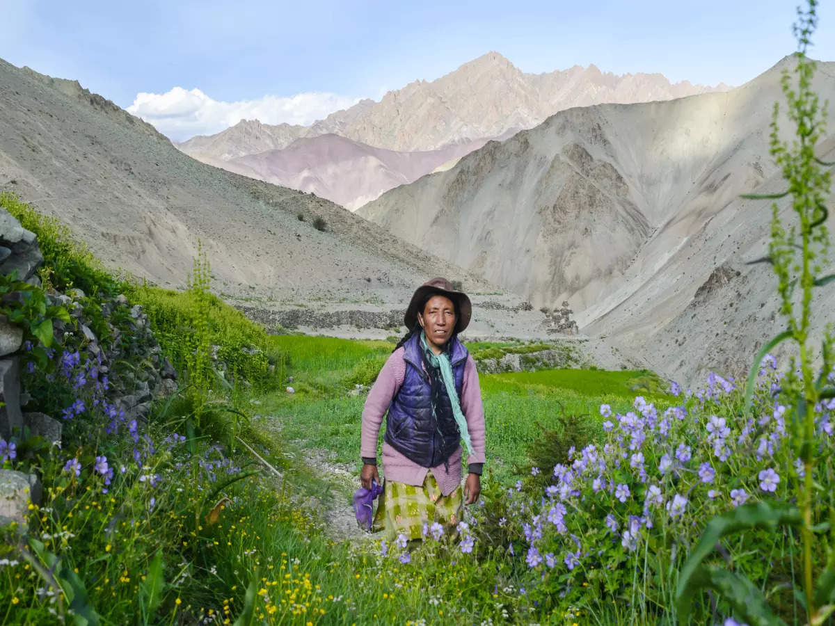 Markha Valley Trek, a great way to experience Ladakhi culture and wildlife