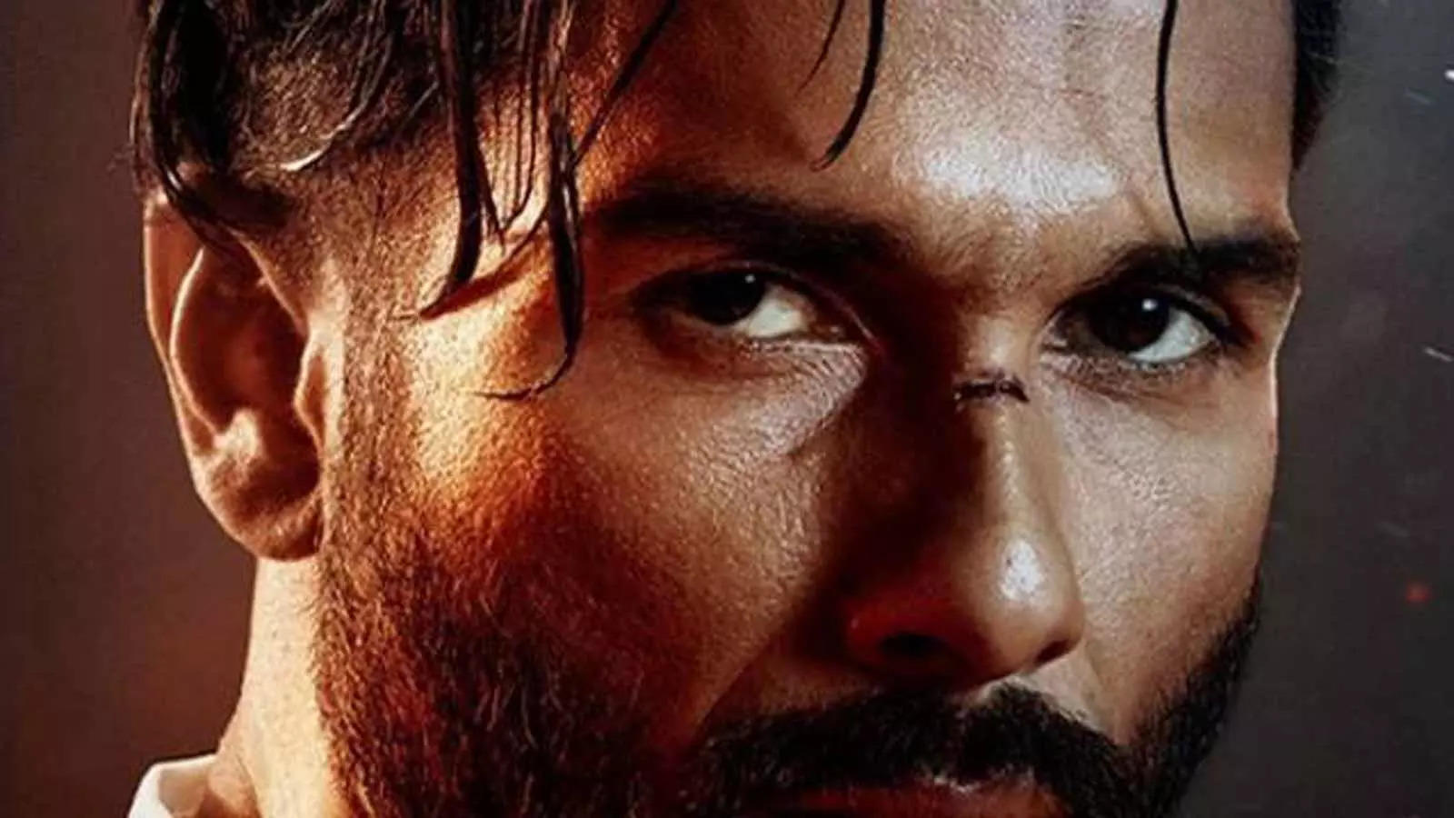Shahid Kapoor: Really enjoyed doing action sequences in 'Bloody ...
