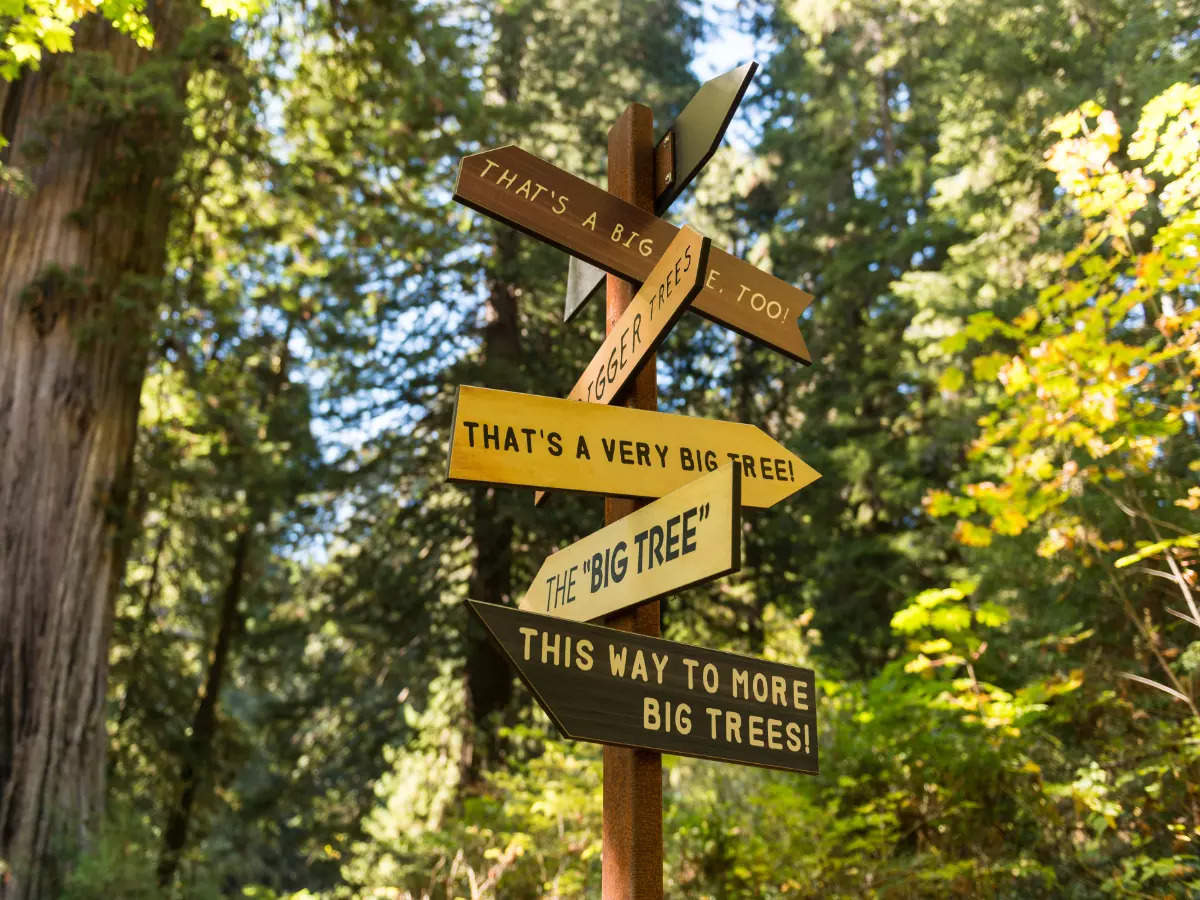 Redwood National Park, land of the tallest and the oldest