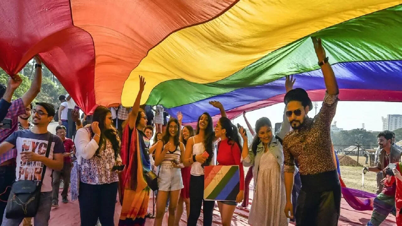 SC counters govt: Sexual orientation innate, it&rsquo;s neither urban nor elitist