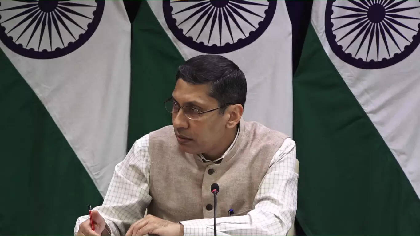 Sudan situation tense, focus on safety of Indians: MEA