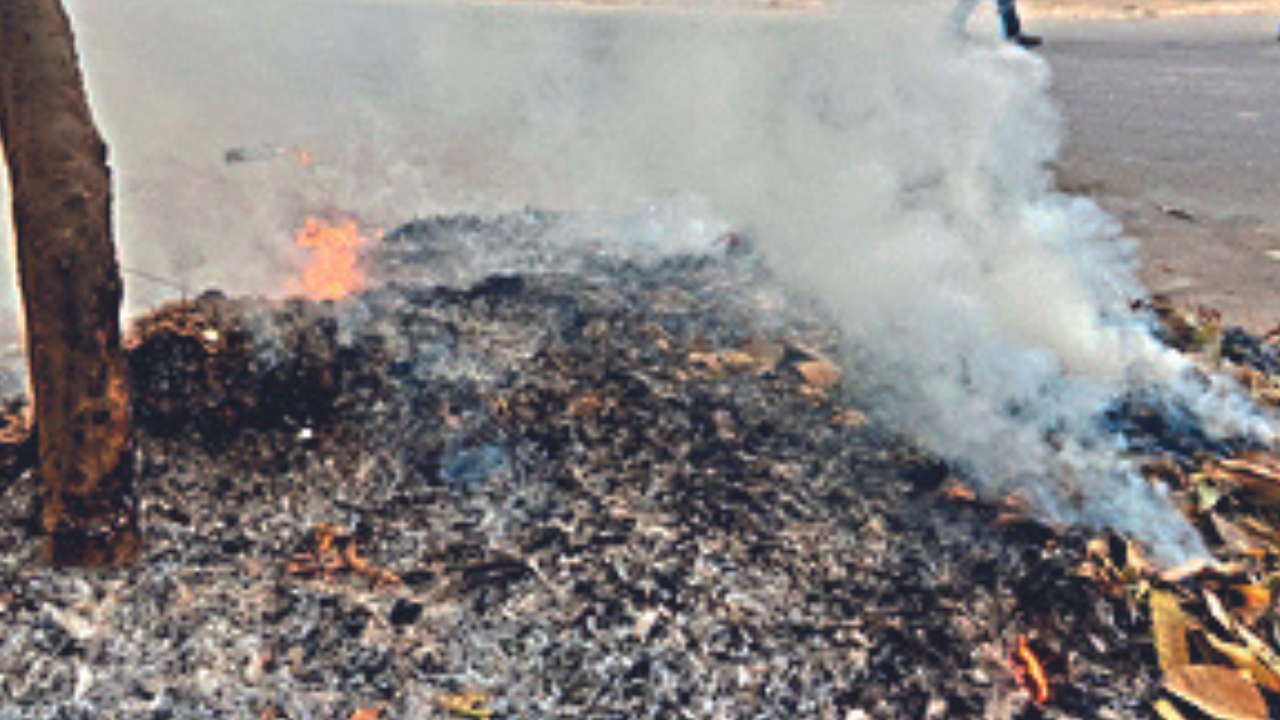 Dadri Main Road, Noida Map, Property Rates, Projects, Photos, Reviews