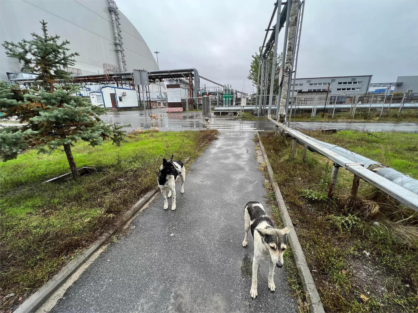 Ukraine slams Russian 'blackmail' on Chernobyl anniversary