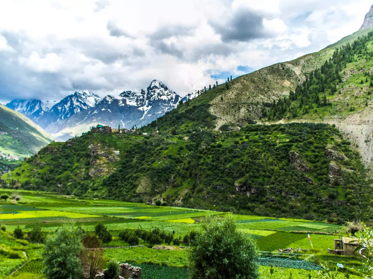 Wonders of Lahaul Valley, the greener side of the Lahaul-Spiti district