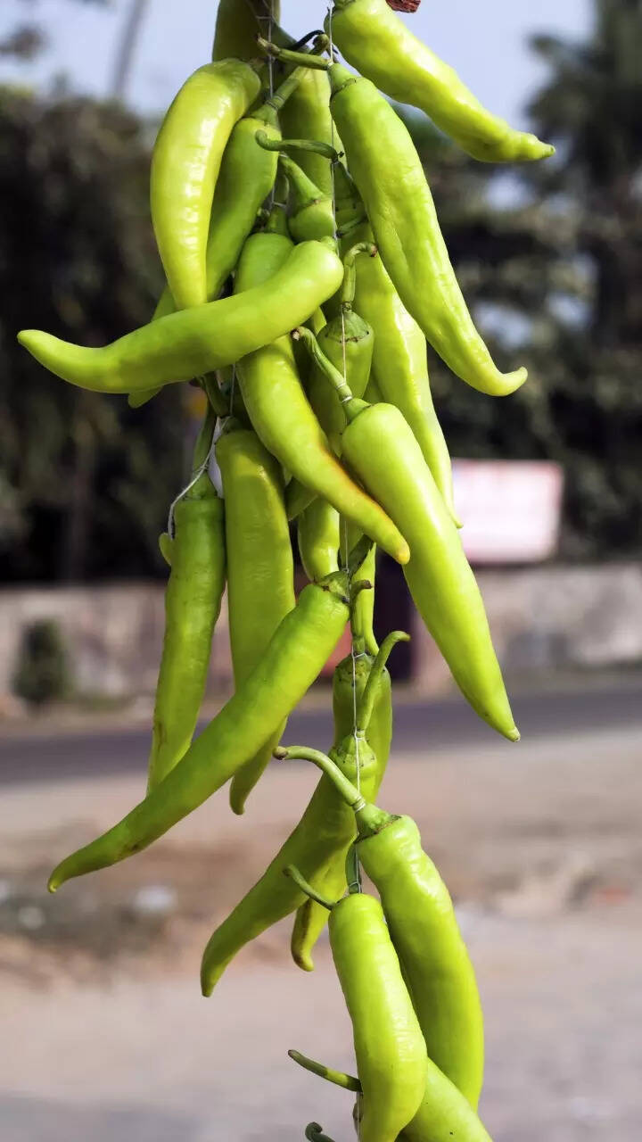 Green Chillies Images