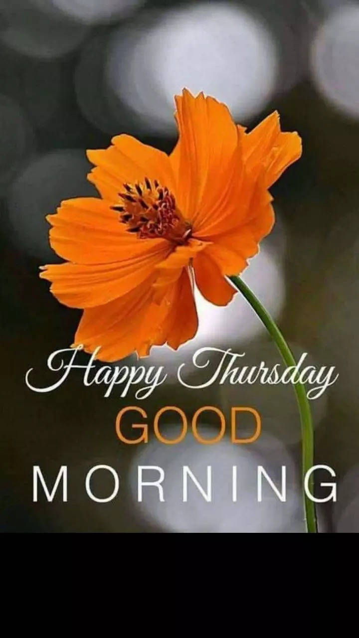Good Morning Thursday Images For WhatsApp | Times Now
