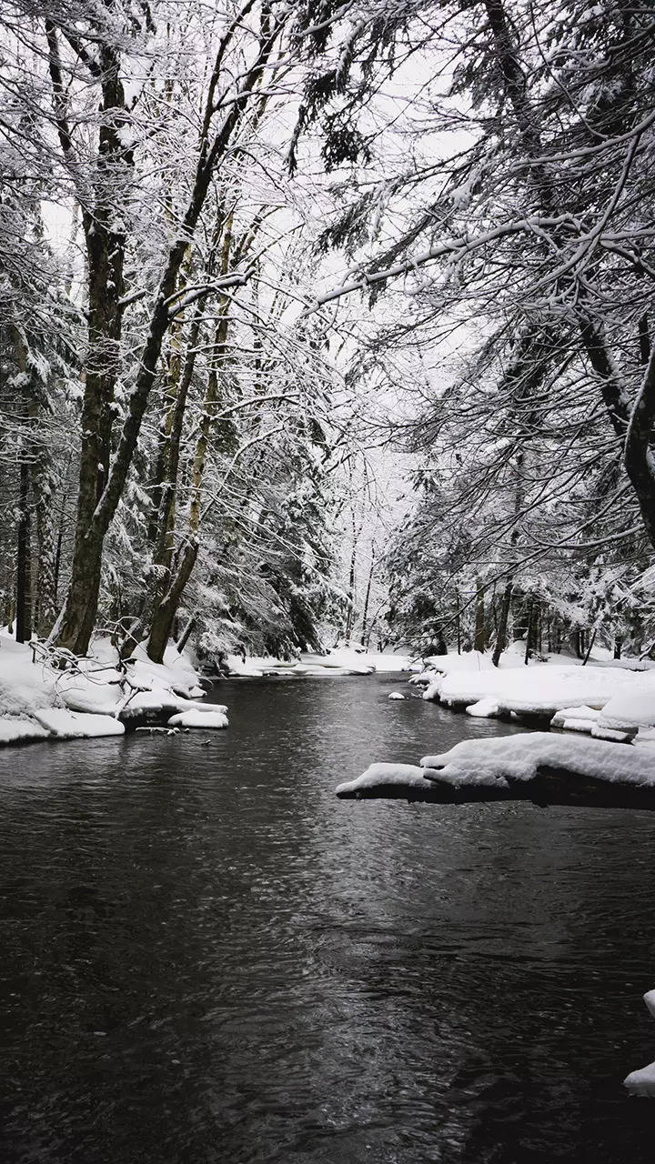 Enchanting winter wonderlands: The world's most beautiful snowy  destinations
