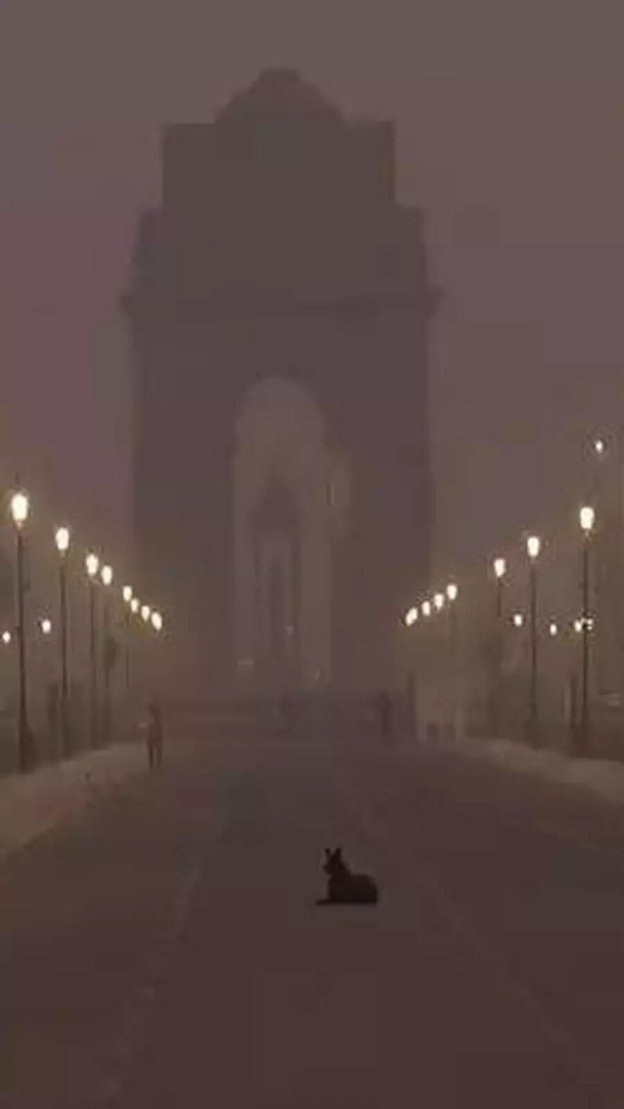 Delhi air pollution crisis: 10 vital facts to know