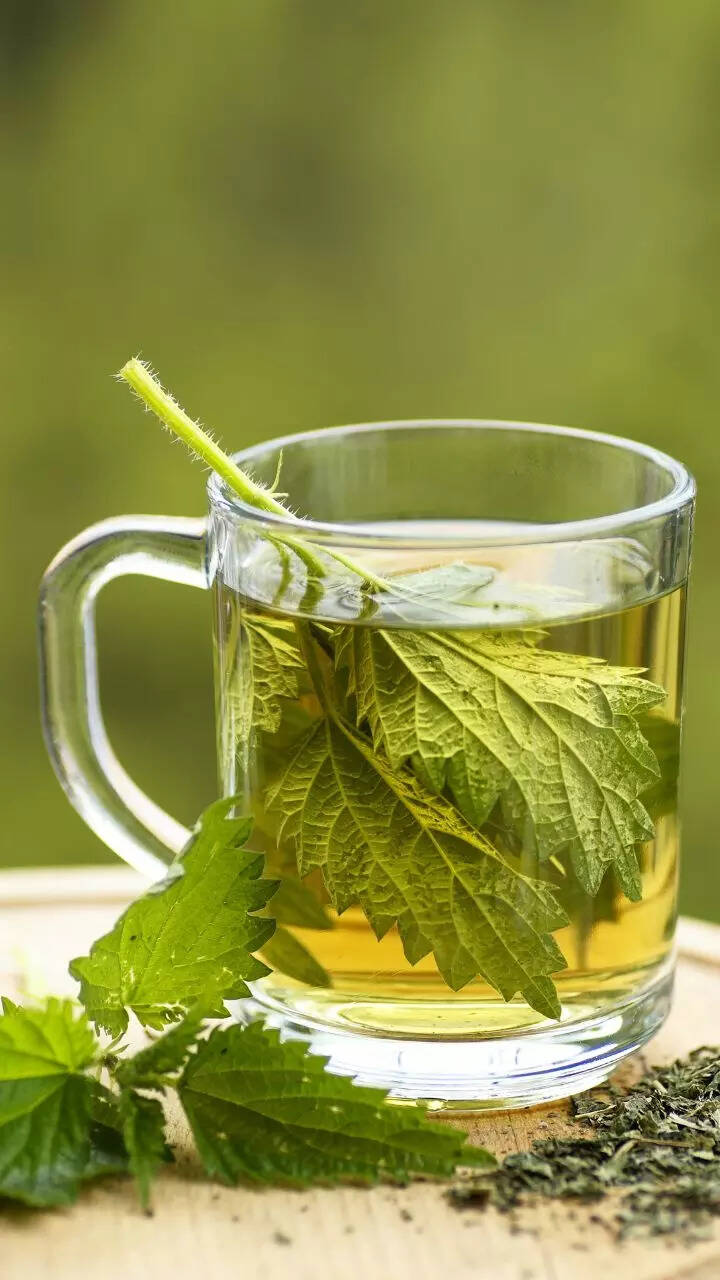 8 Health Benefits Of Drinking Nettle Tea StorialTech