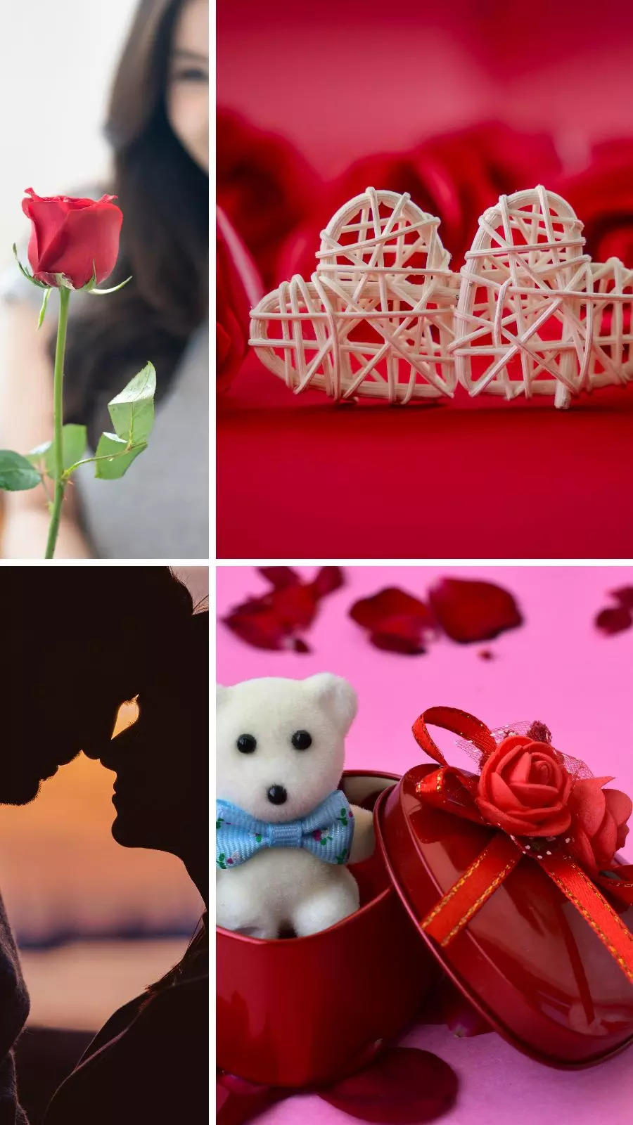Valentine's Week Explained: When is Rose Day, Chocolate Day, Teddy Day?