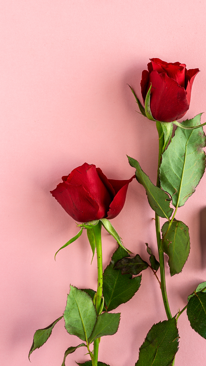 Twhhldrm Lq1pm https timesofindia indiatimes com life style relationships web stories bollywood couples who remained friends after divorce photostory 80234860 cms