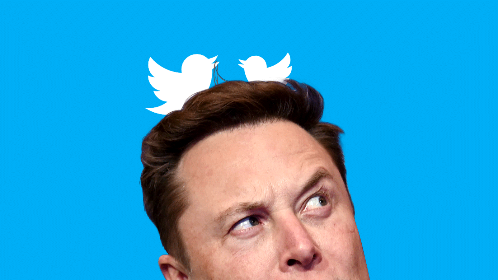 Why does the world's richest man want Twitter so badly? - Times of India