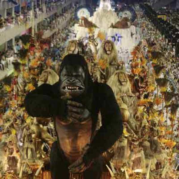 Revelers Of The Portela Samba School Dance During The First Night Of Parade By Top Samba Groups In Rio De Janeiro S Sambadrome Early On Tuesday February 4 08 Photogallery