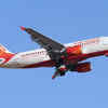 Don't privatise Air India, give it 5 years to revive: Par panel
