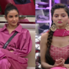 Jasmin Bhasin - Rubina Dilaik