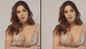 'Haseen Dilruba' Nikki Tamboli sets hearts racing as she poses in a saree gown