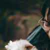 Article image for: <i class="tbold">shih tzu</i>