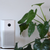 ​Use an air purifier indoors​
