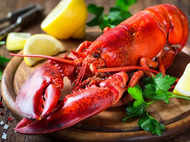 Why lobster was considered a fertilizer in the past?