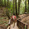 Strenuous Path
