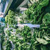Article image for: <i class="tbold">leafy greens</i>