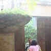Article image for: Neetu Kapoor’s <i class="tbold">new apartment</i> & mansion