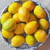 The top mango variant