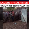 Article image for: On cam: Two men thrashed after being tied to pole on suspicion of buffalo theft in MP's <i class="tbold">chhatarpur district</i>