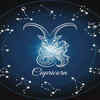 ​Capricorn (December 22 – January 19)​