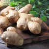 Ginger