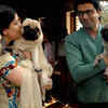 ​Unfortunate accident of Sharmila and her love for animals​