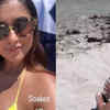 Article image for: Mom-to-be Ileana D'Cruz shares new pictures of her babymoon