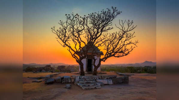 The mythological treasure trove