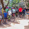 Article image for: Trending photos of <i class="tbold">bicycle day</i> on TOI today